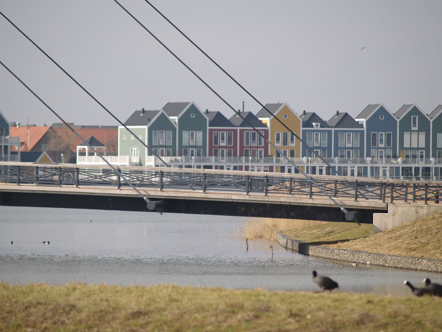 Foto 34 van Pronkmos 79