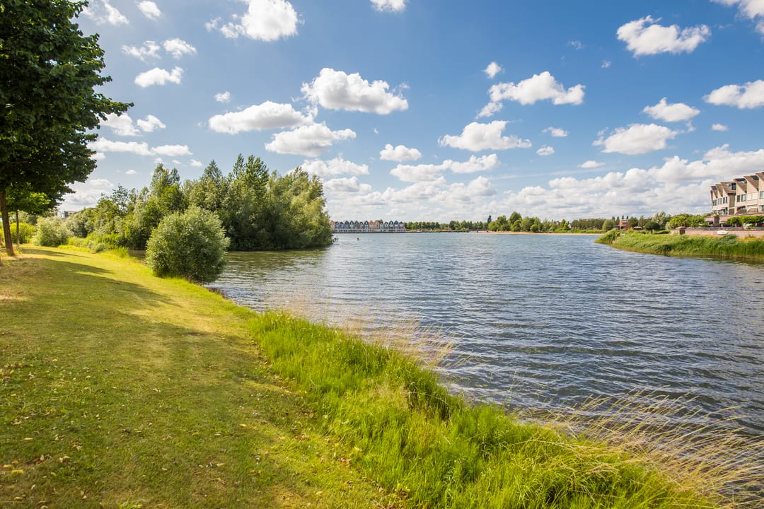 Foto 37 van Pronkmos 79