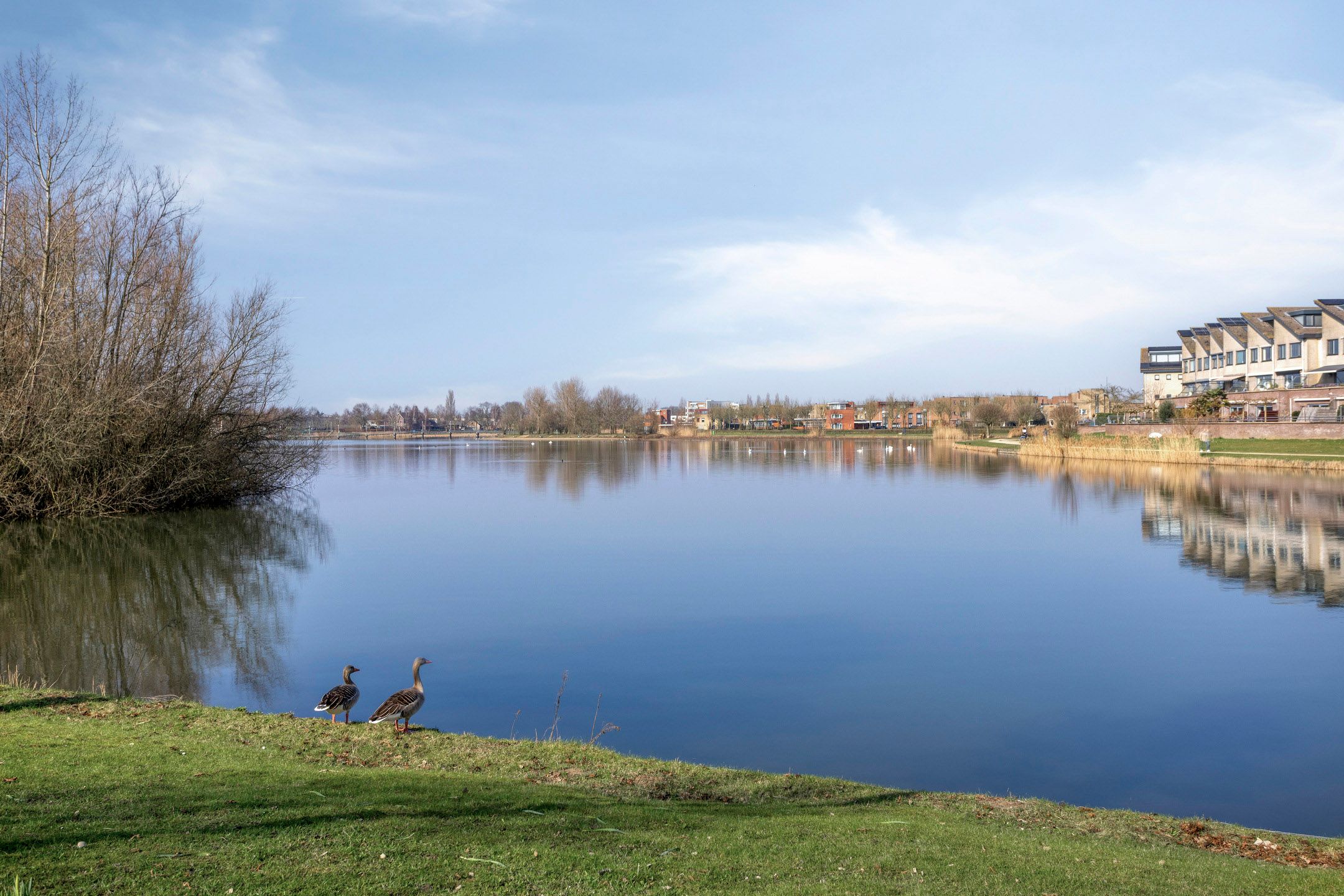 Foto 33 van Pronkmos 79