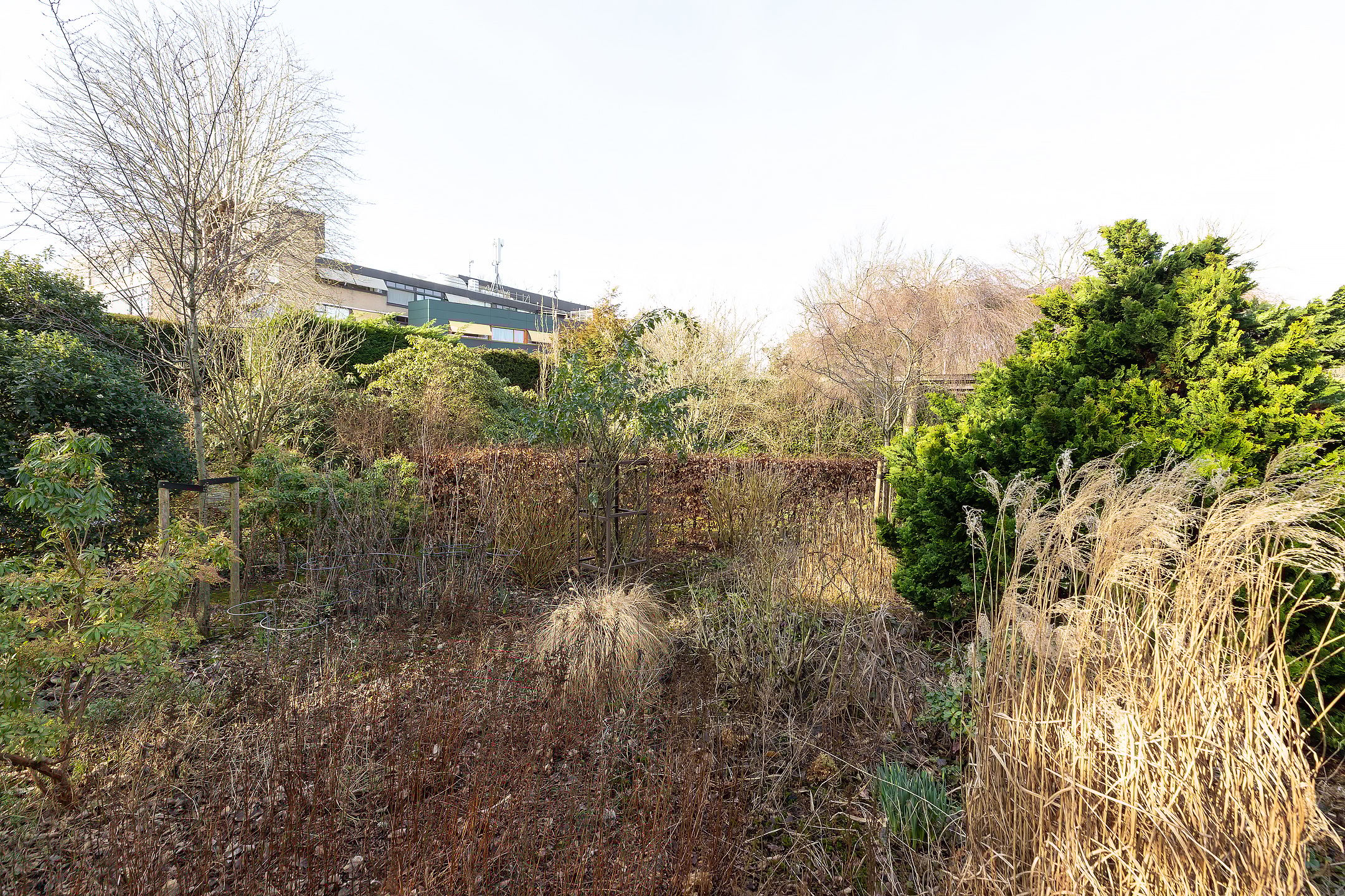 Foto 39 van Nieuw-Loosdrechtsedijk 30