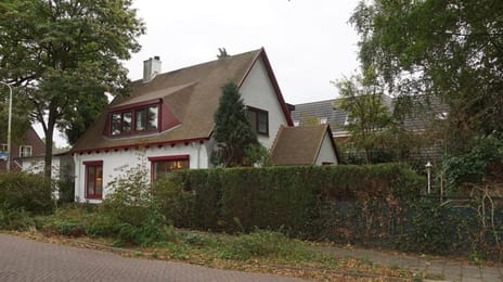 undefined main image