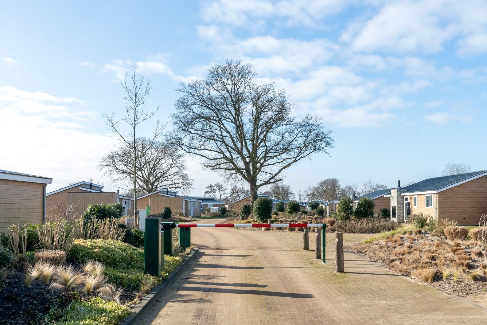 Photo 24 of Maireweg 7-0045