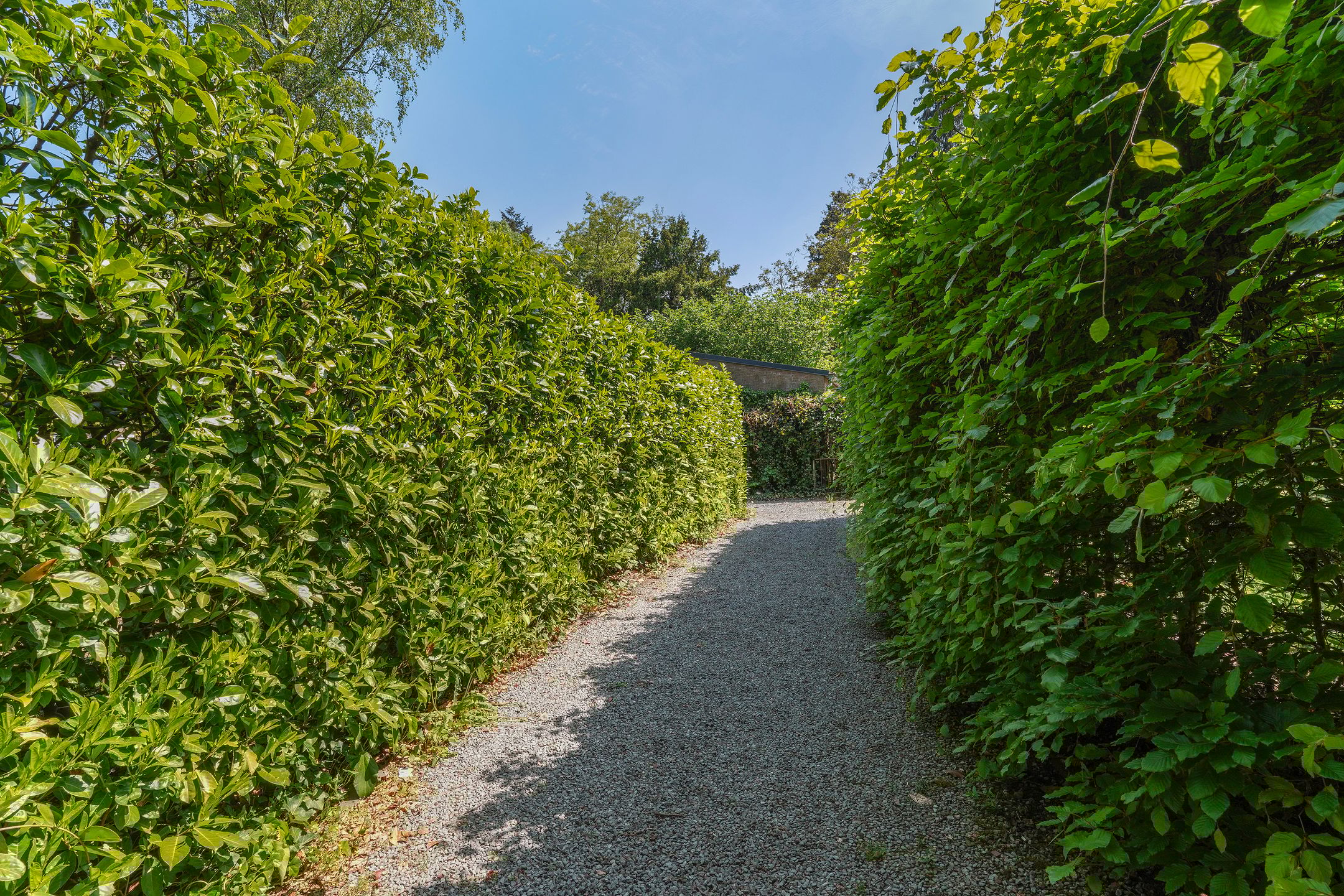 Foto 51 van Koningshoeven 66-13