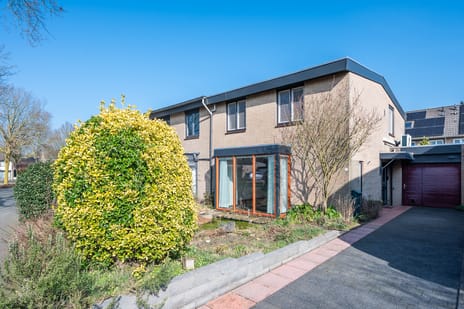 undefined main image