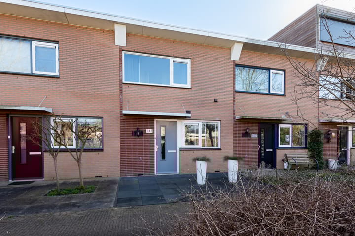 Laantje van de Lapjeskat 9 main image