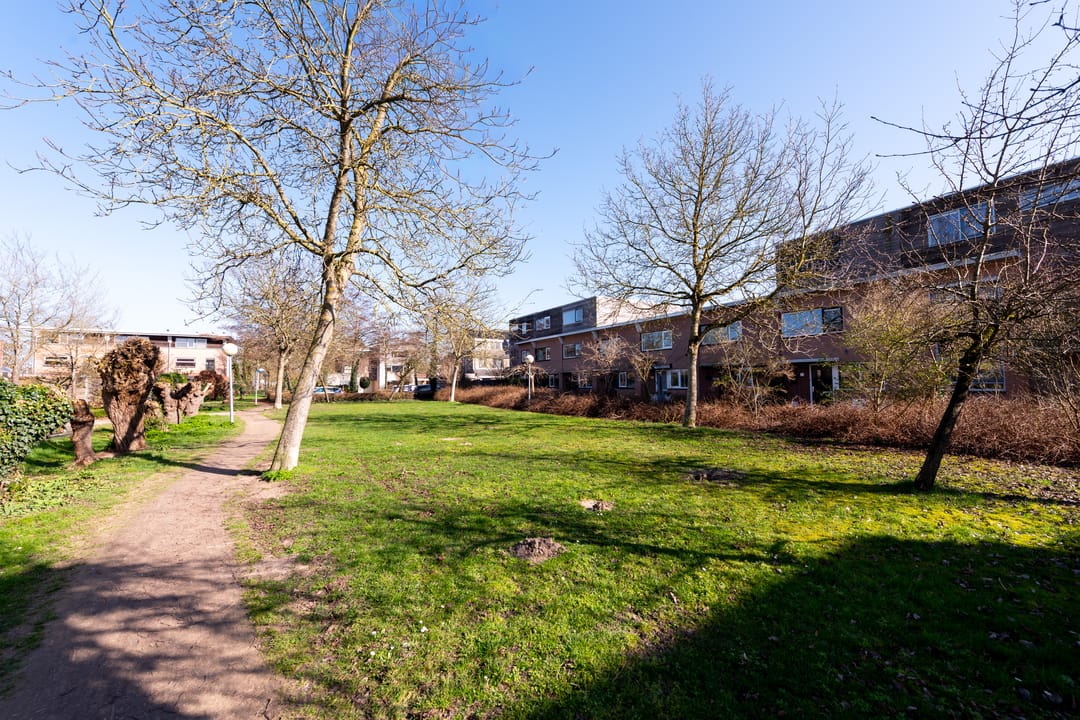 Foto 31 van Laantje van de Lapjeskat 9