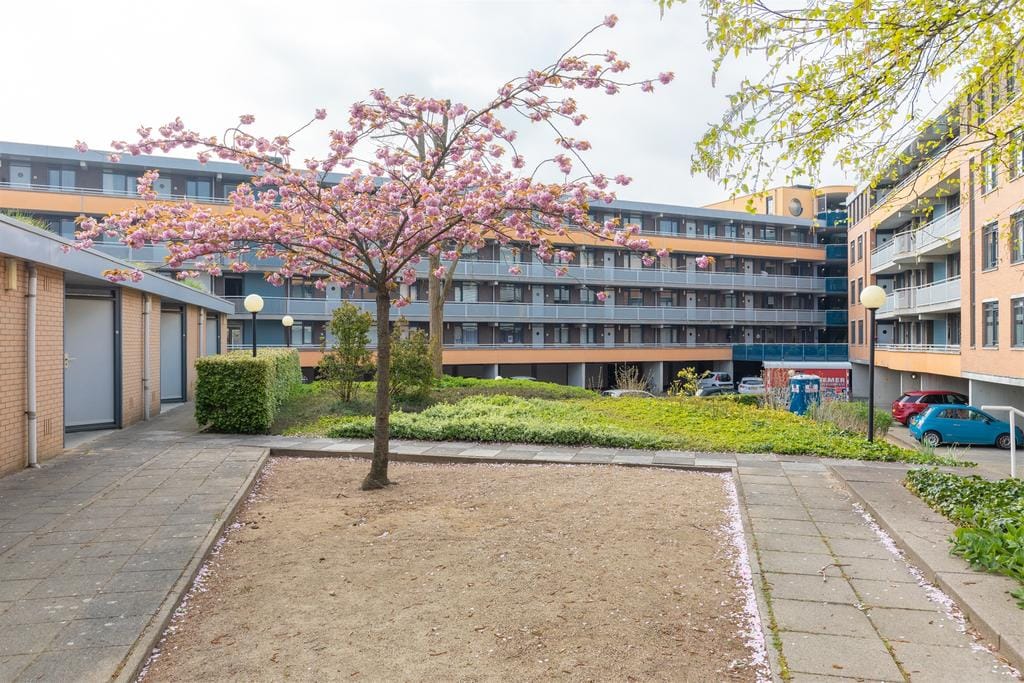 Foto 26 van Langgewenst 47