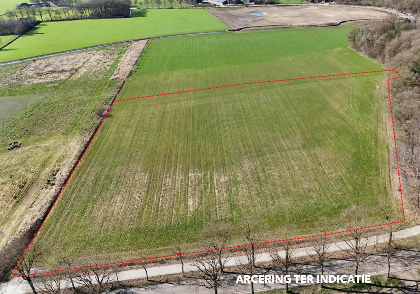 Bekijk foto 3 van Castersedijk