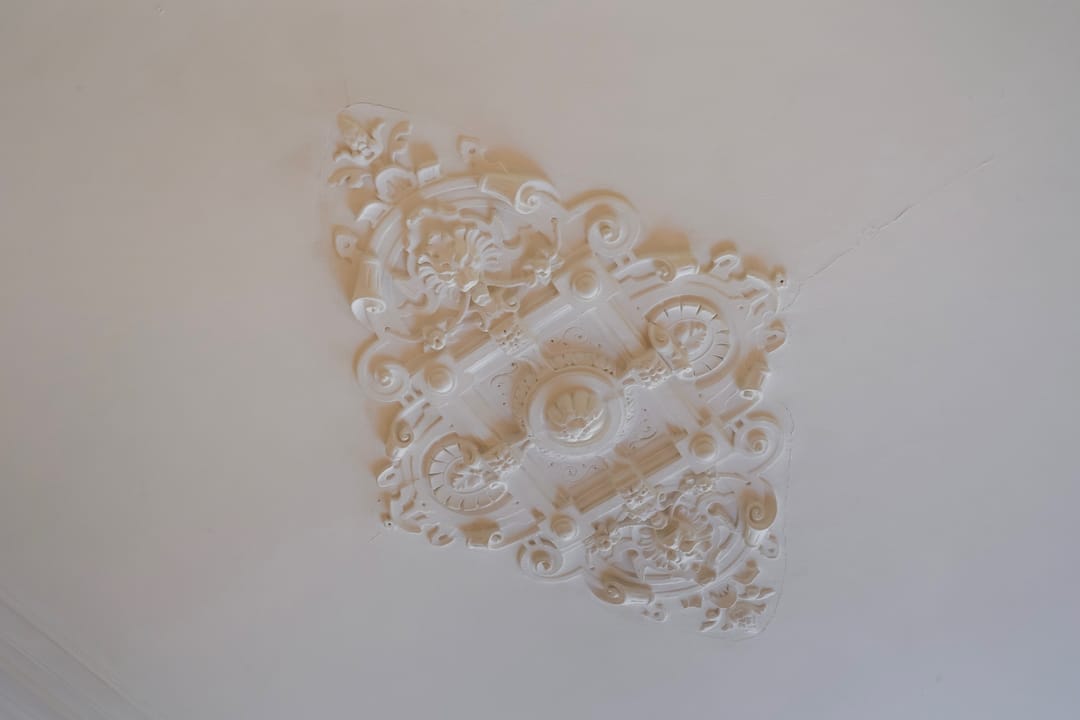 Foto 16 van Copernicusstraat 29