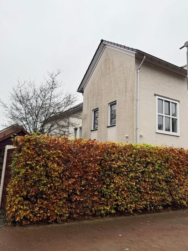 Photo 3 of Dorserserf 1