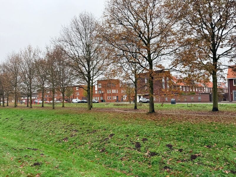 Photo 11 of Dorserserf 1