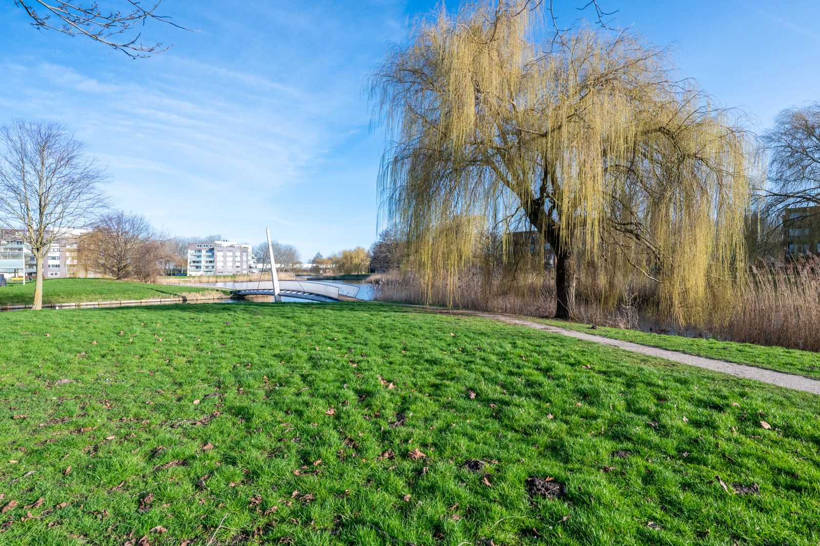 Foto 3 van Hendrik Marsmanstraat 4