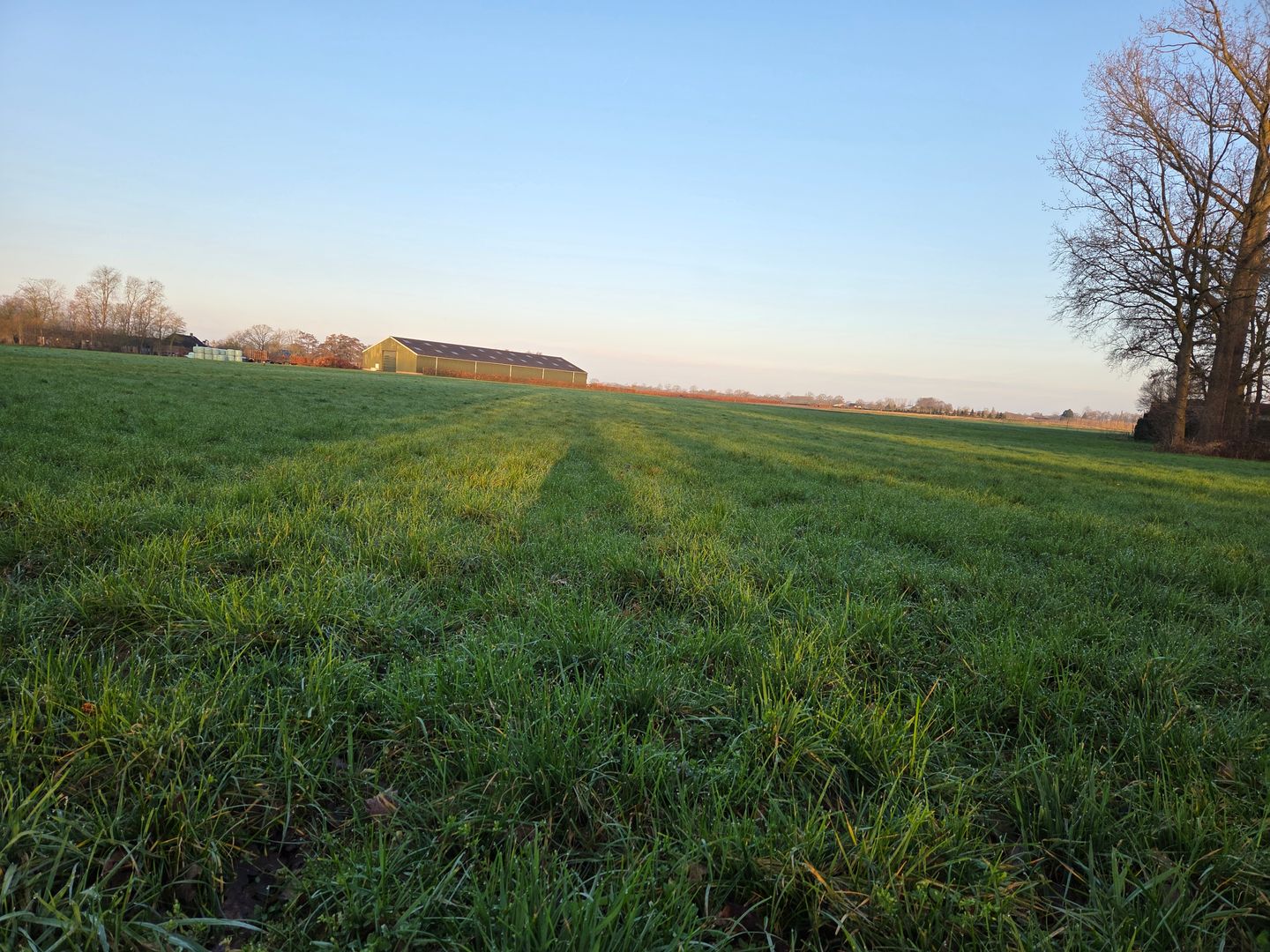 Bekijk foto 5 van Oiserwijksedreef
