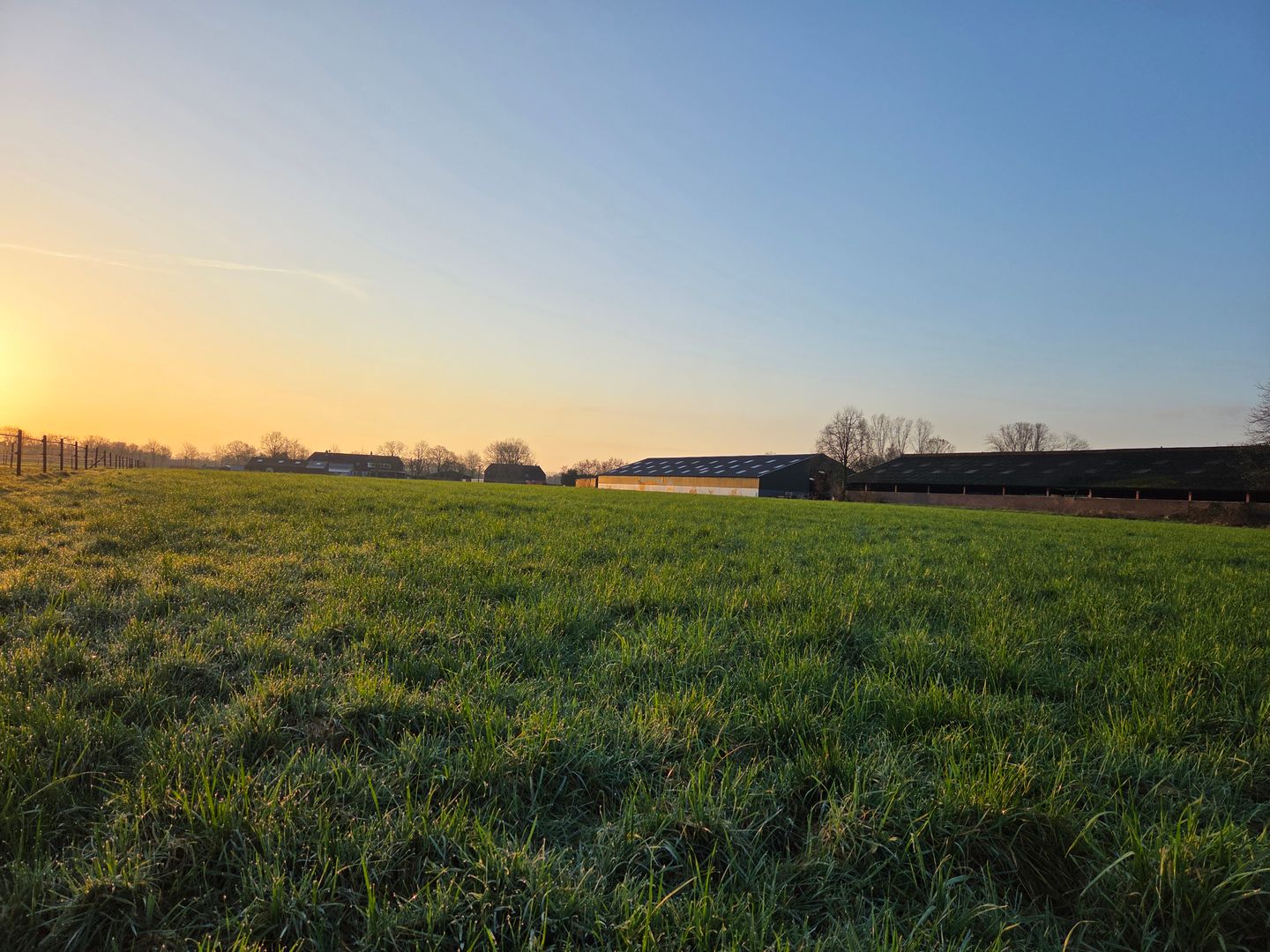 Bekijk foto 2 van Oiserwijksedreef