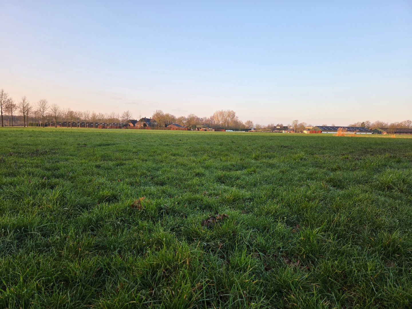 Bekijk foto 4 van Oiserwijksedreef