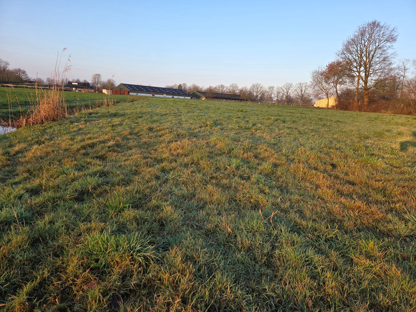 Bekijk foto 3 van Oiserwijksedreef