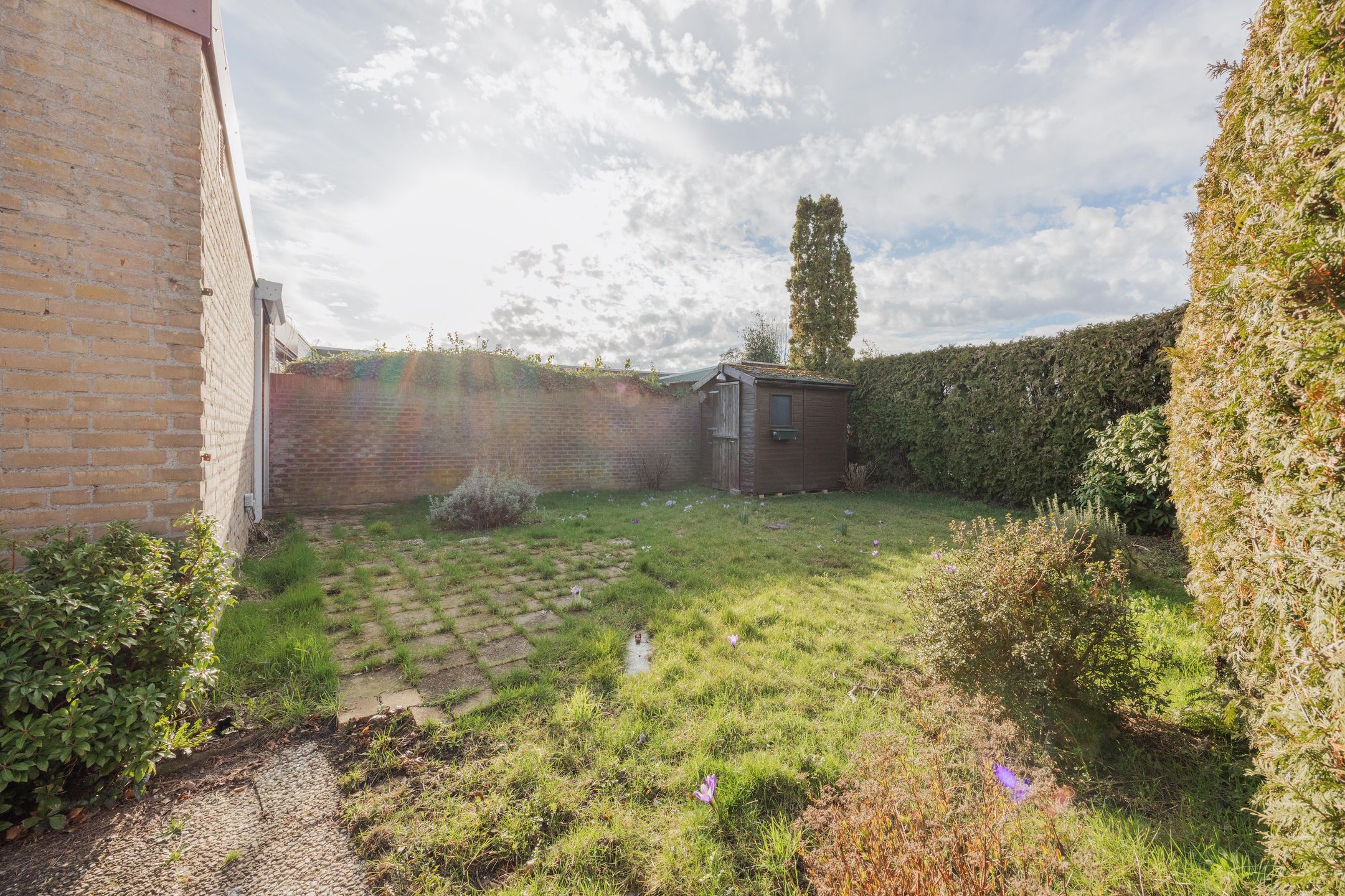 Photo 24 of Mezenhof 3