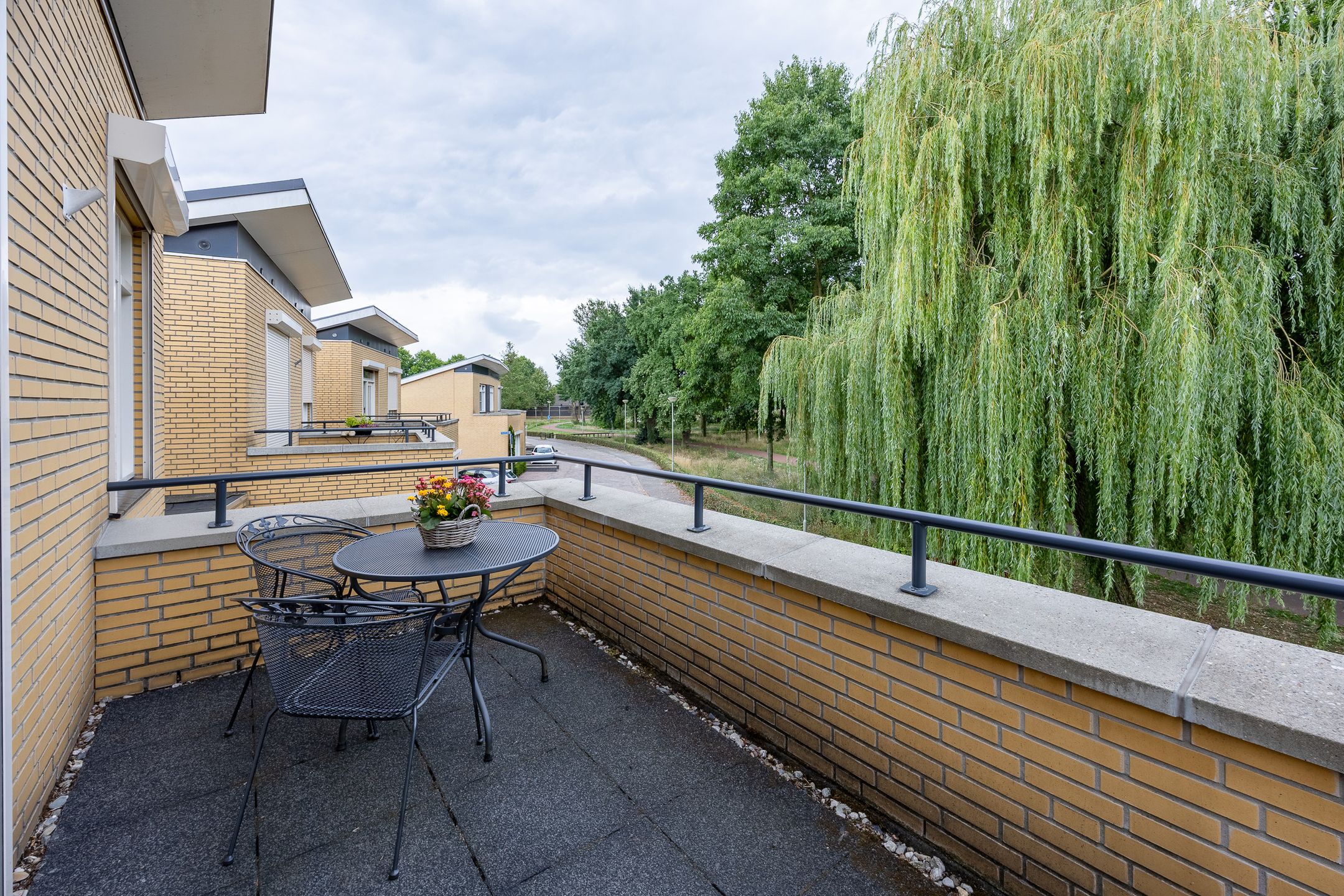 Foto 3 van Fluitekruid 54