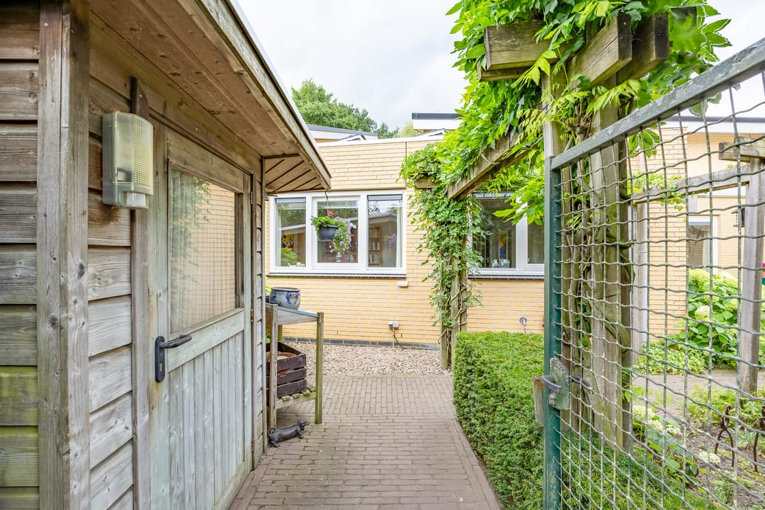 Foto 47 van Fluitekruid 54