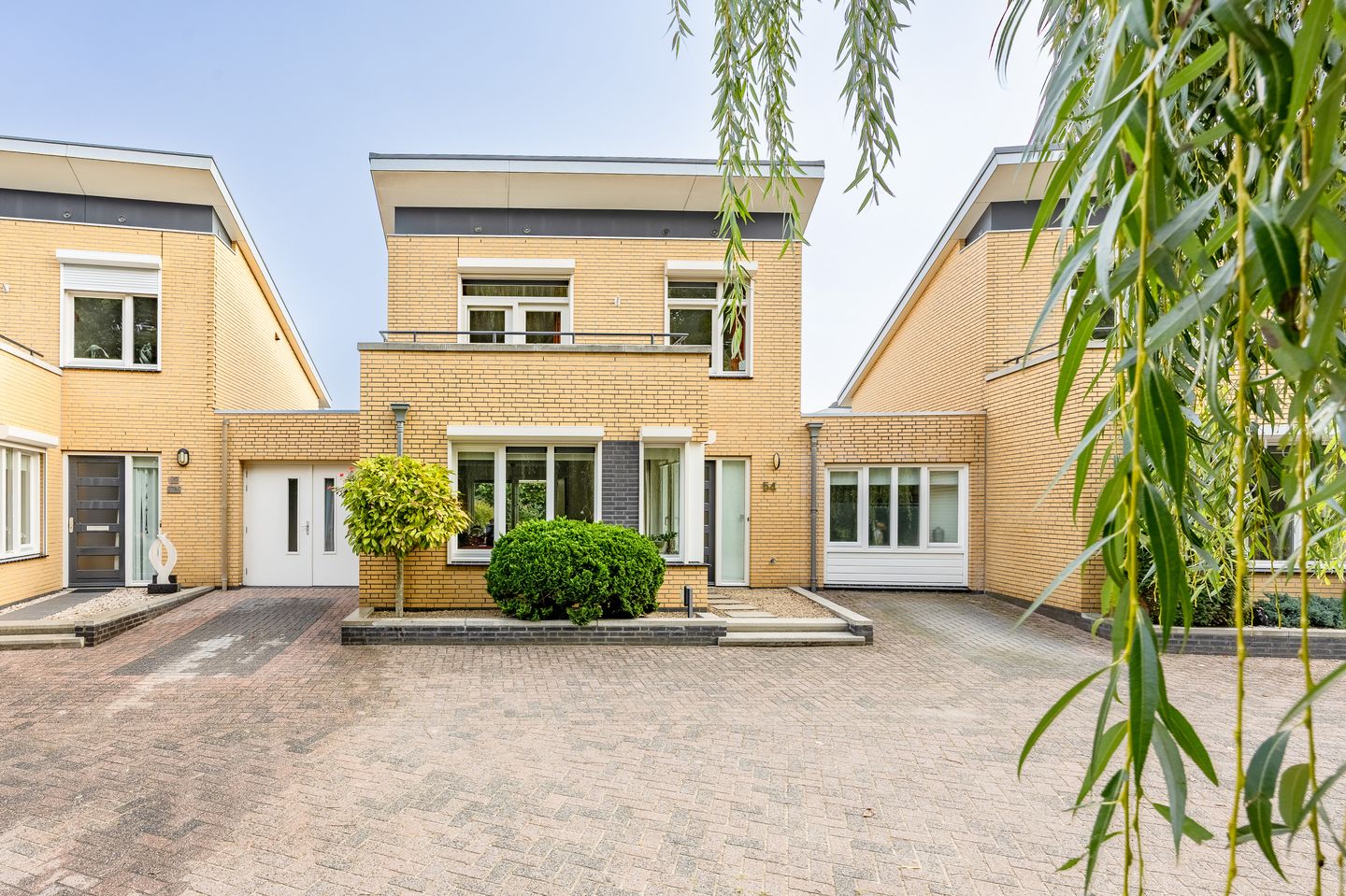 Foto 5 van Fluitekruid 54