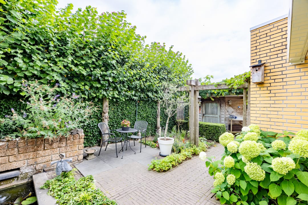 Foto 43 van Fluitekruid 54