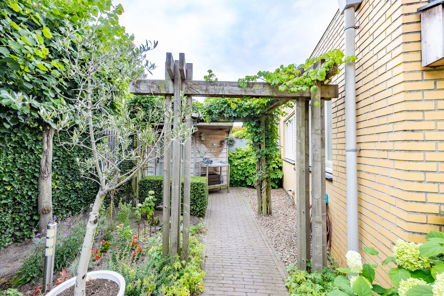 Foto 44 van Fluitekruid 54