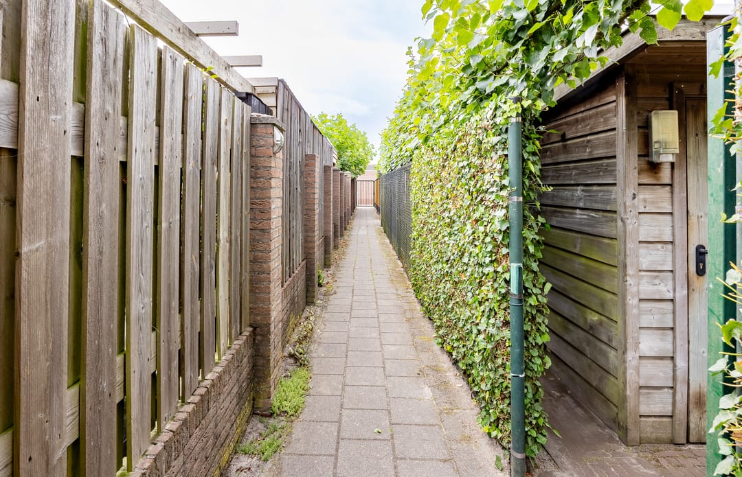 Foto 46 van Fluitekruid 54