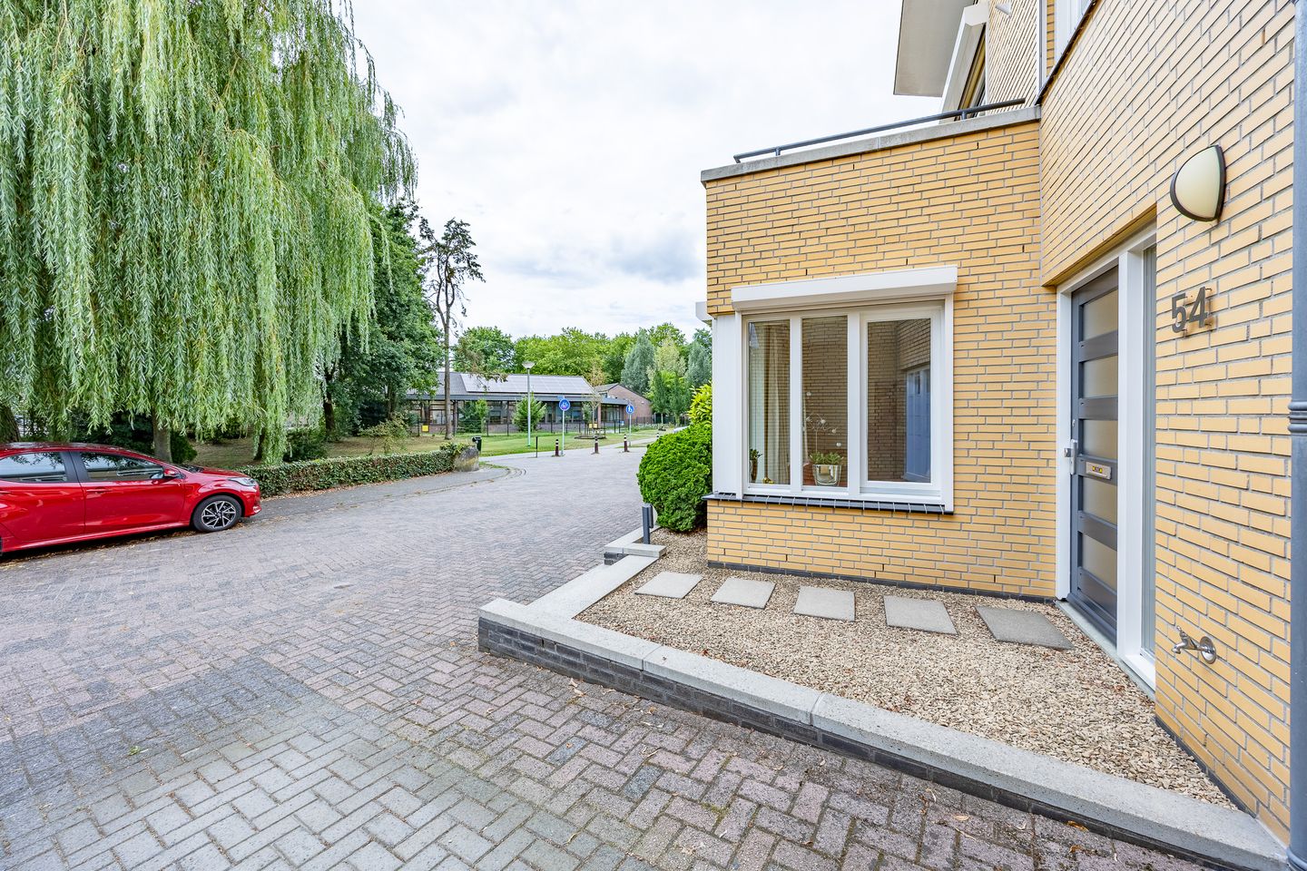 Foto 49 van Fluitekruid 54