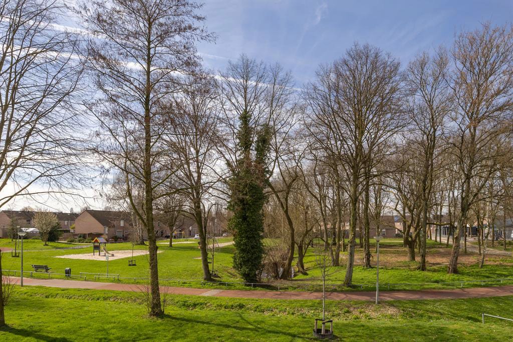 Foto 50 van Fluitekruid 54