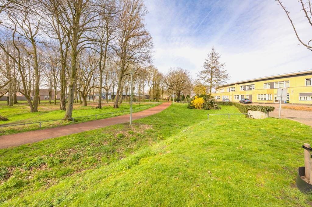 Foto 4 van Fluitekruid 54