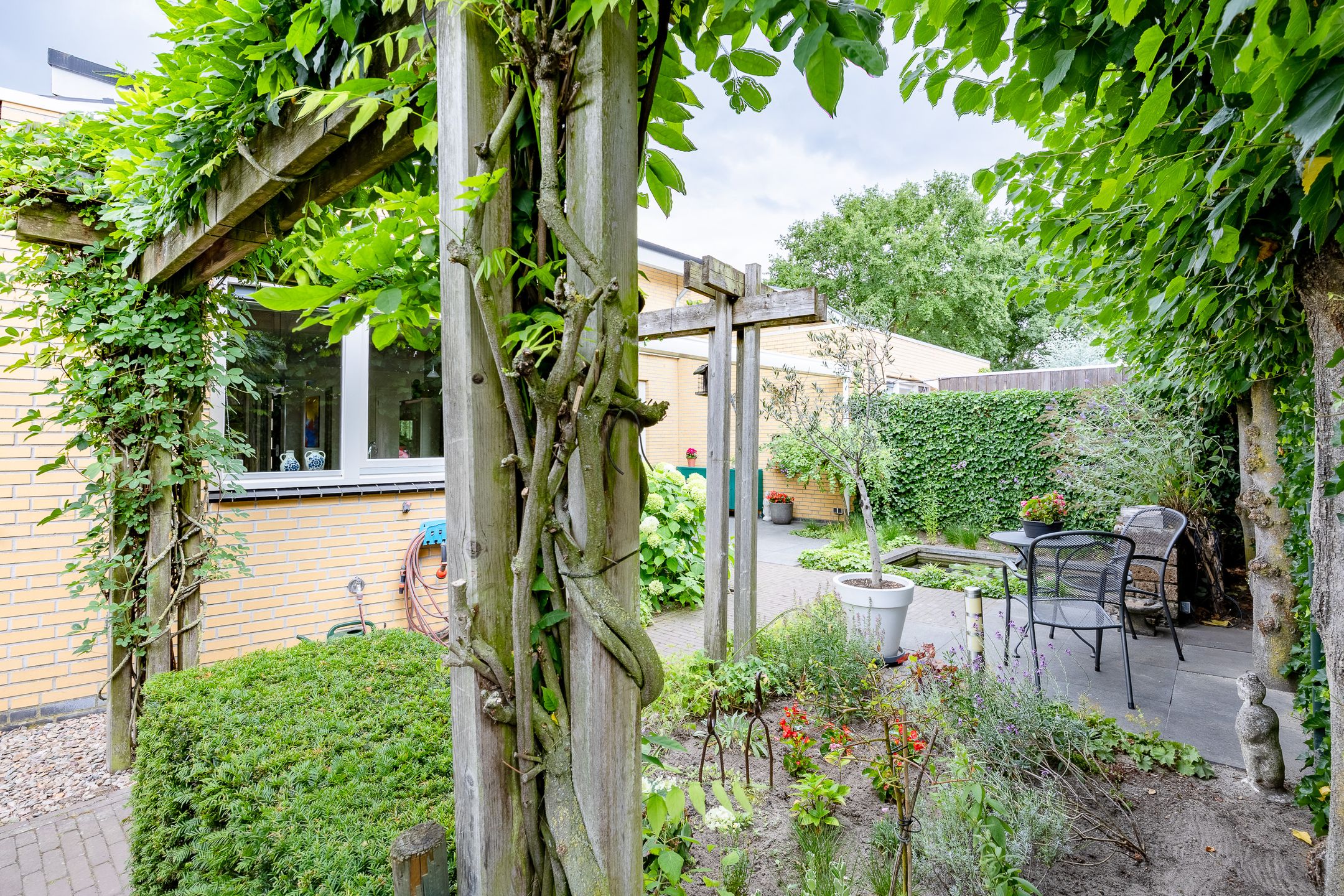 Foto 45 van Fluitekruid 54