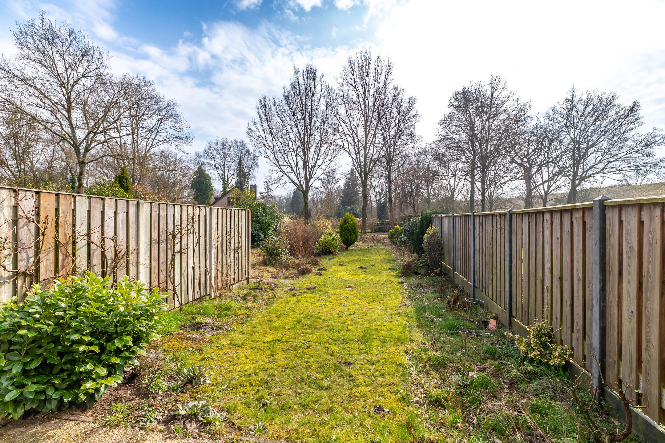 Foto 3 van Schieland 55