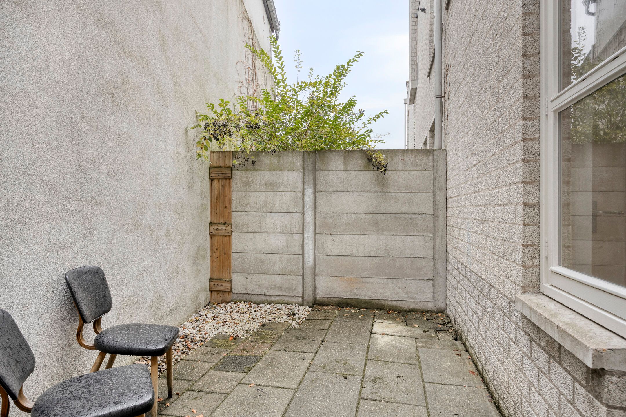 Photo 12 of Pelmolenstraat 1