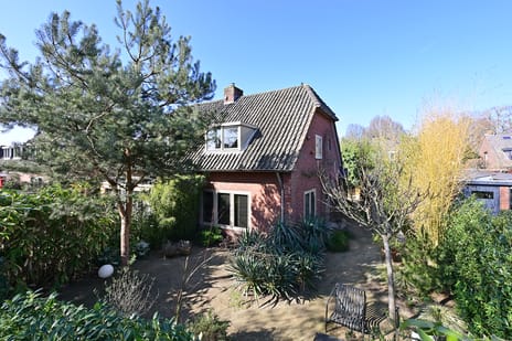 Dotterbeemd thumbnail