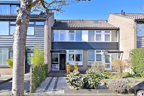 undefined main image