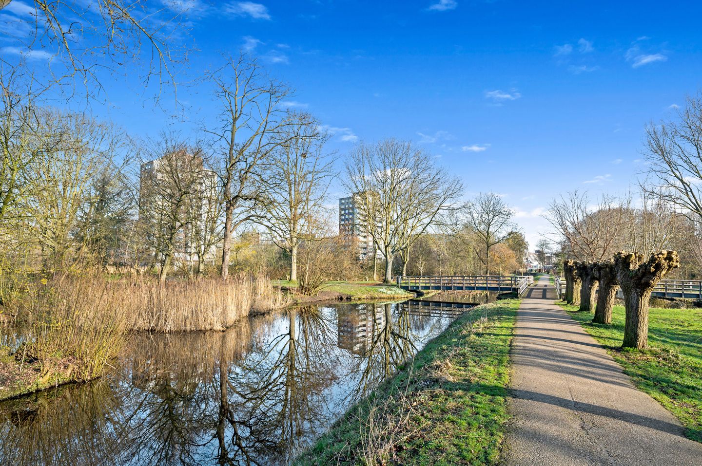 Foto 49 van Lokhorst 6