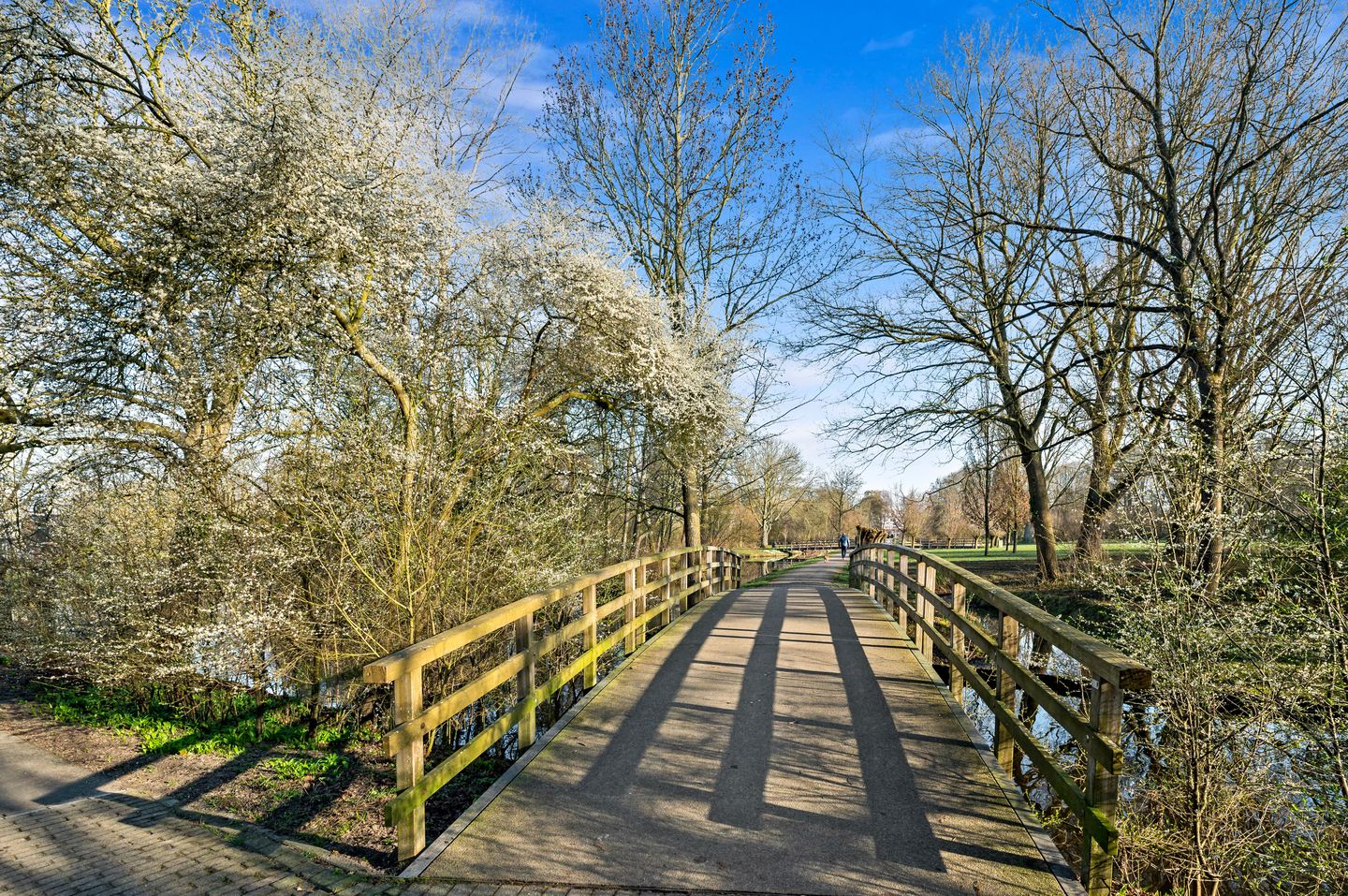 Foto 50 van Lokhorst 6