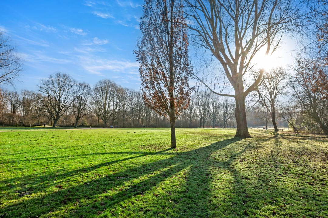 Foto 47 van Lokhorst 6