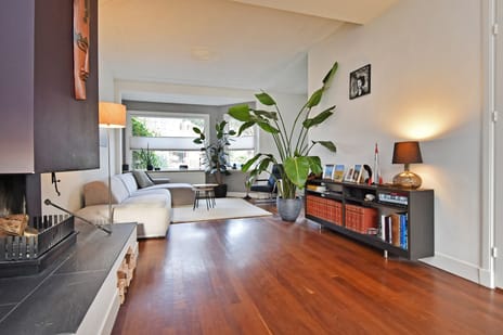 Papegaailaan thumbnail