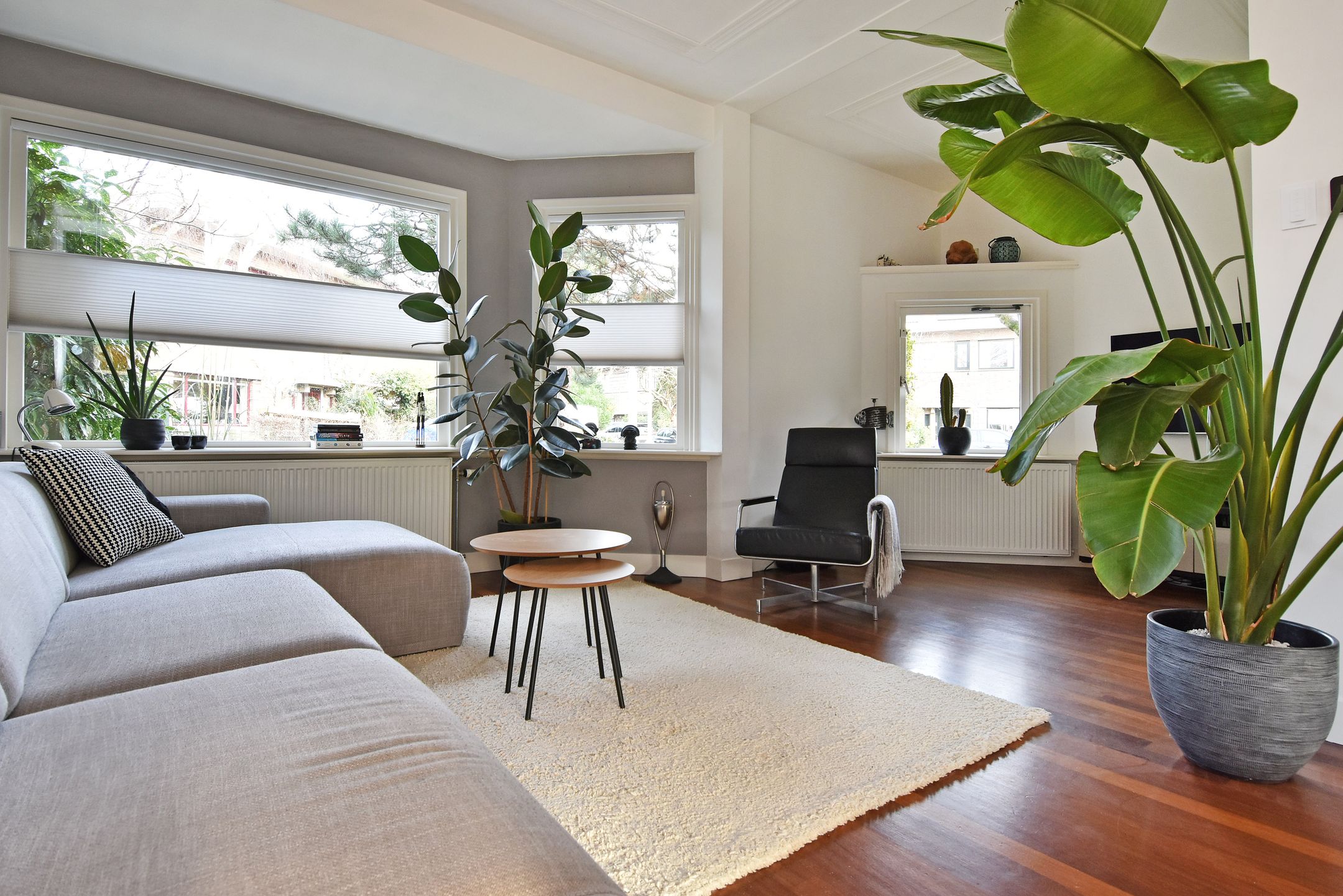 Foto 9 van Papegaailaan 28