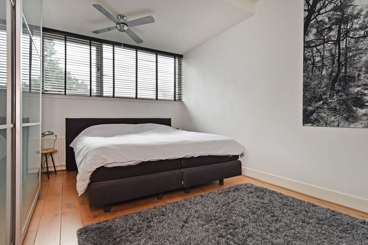 Foto 49 van Papegaailaan 28