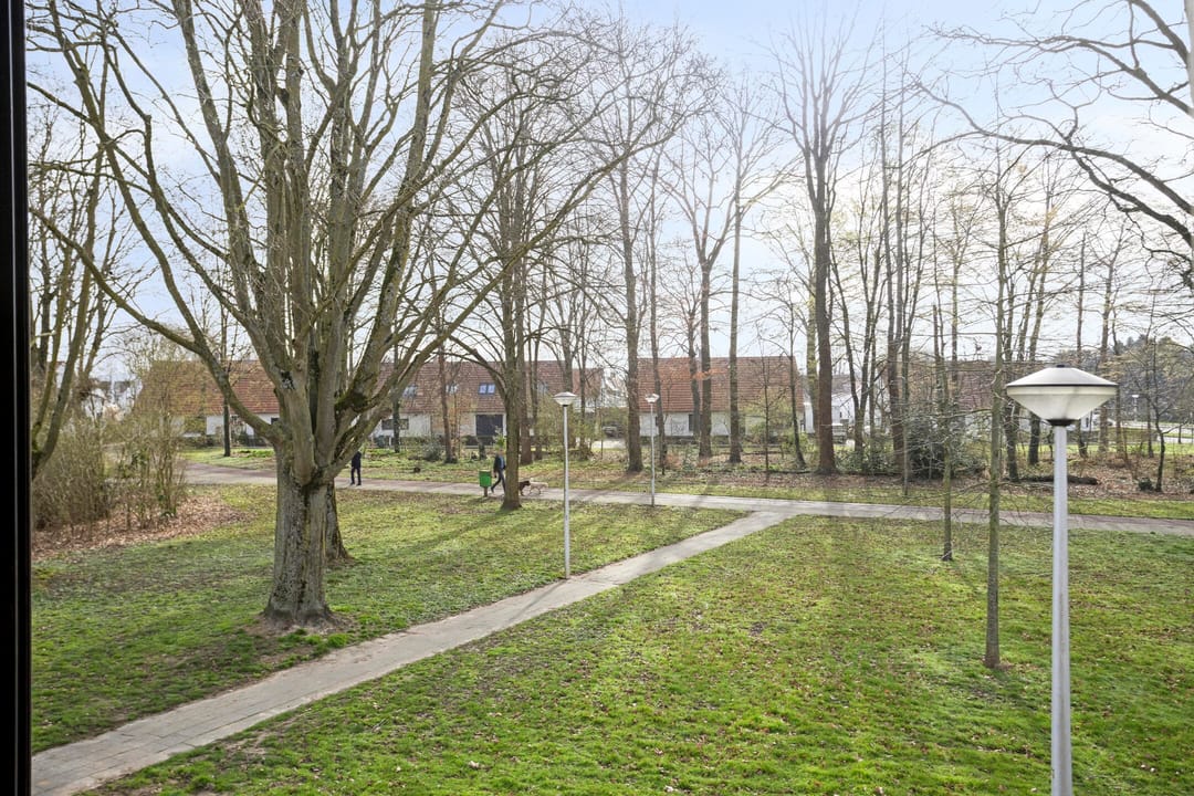 Photo 23 of Zeepziedersdreef 68