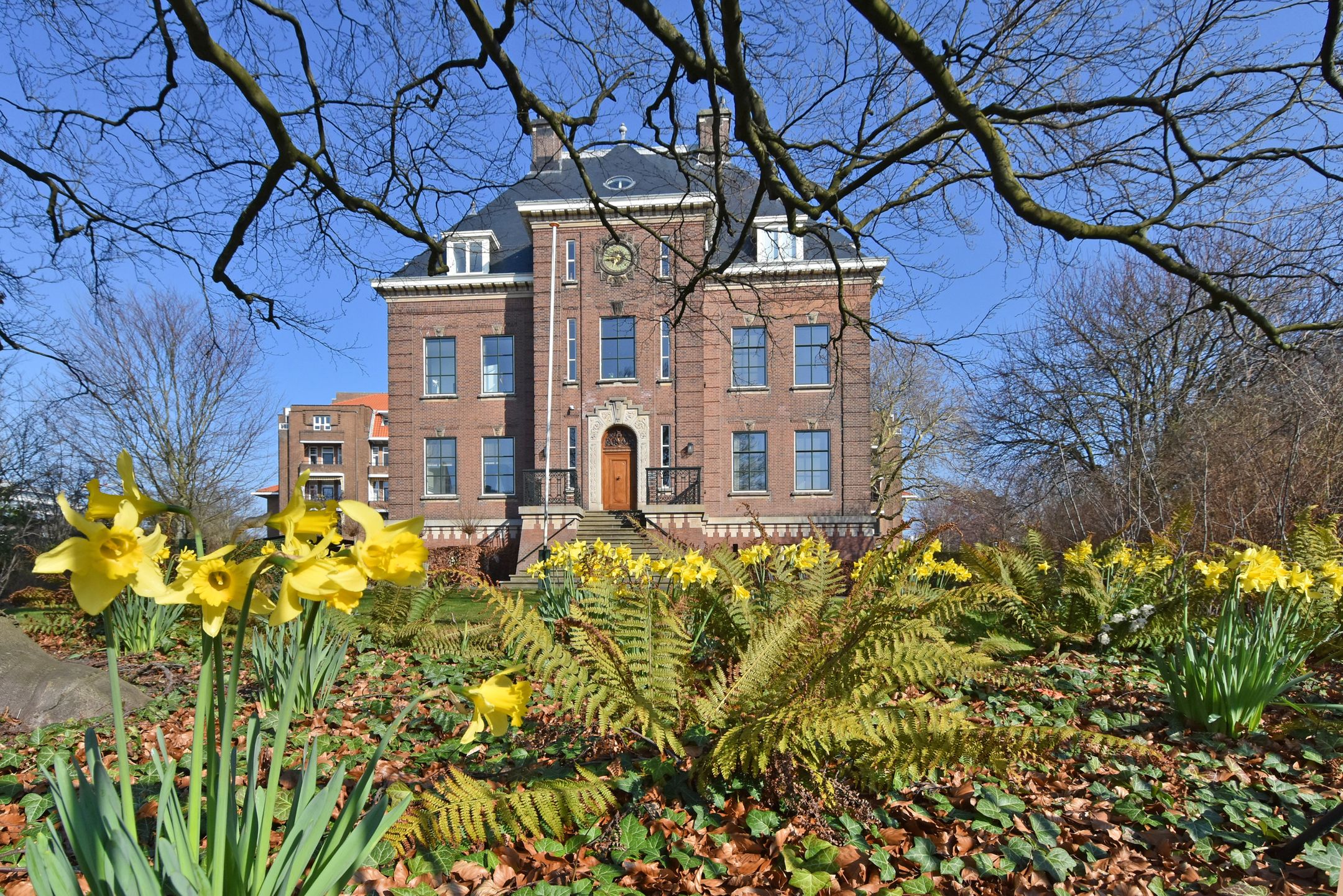 Photo 6 of R. J. Schimmelpennincklaan 19