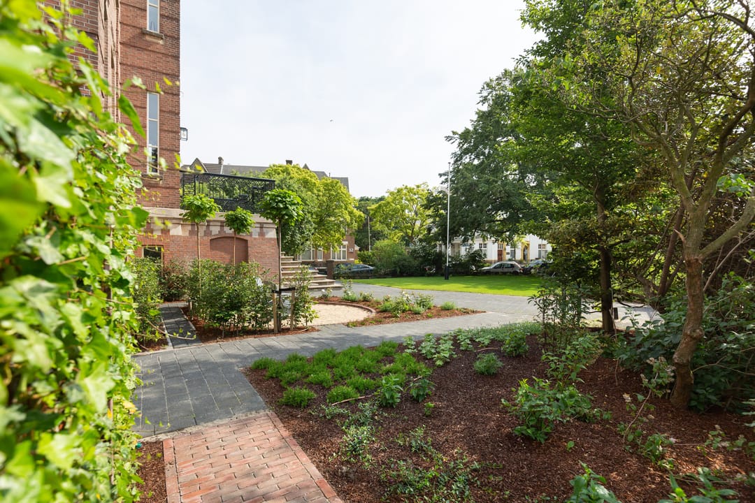 Photo 13 of R. J. Schimmelpennincklaan 19