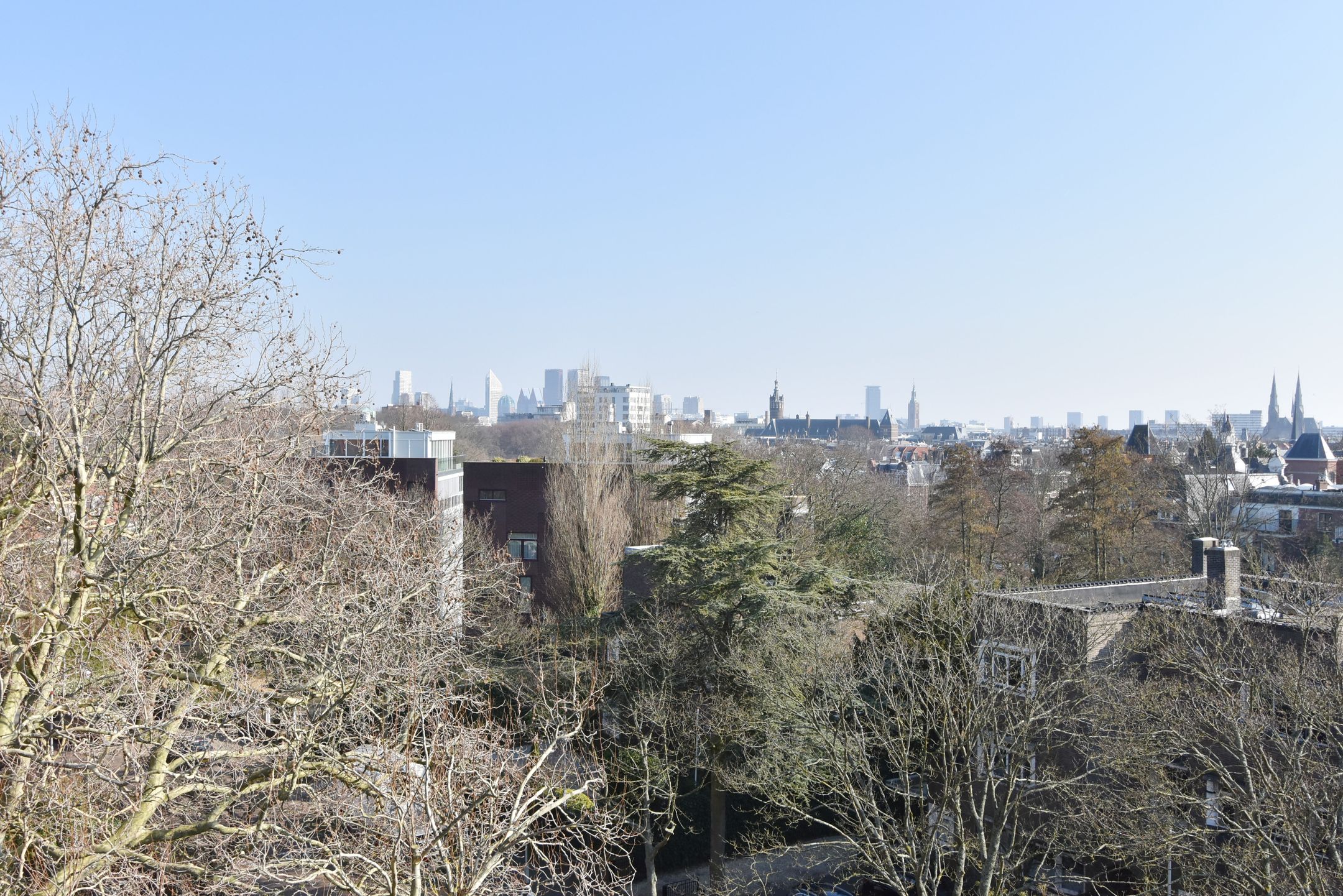 Photo 90 of R. J. Schimmelpennincklaan 19