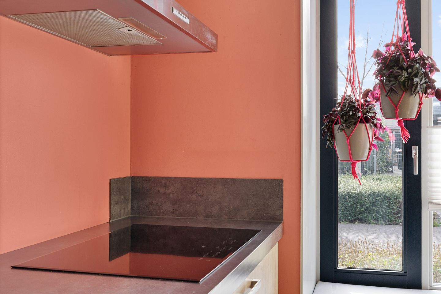 Foto 20 van Karper 23