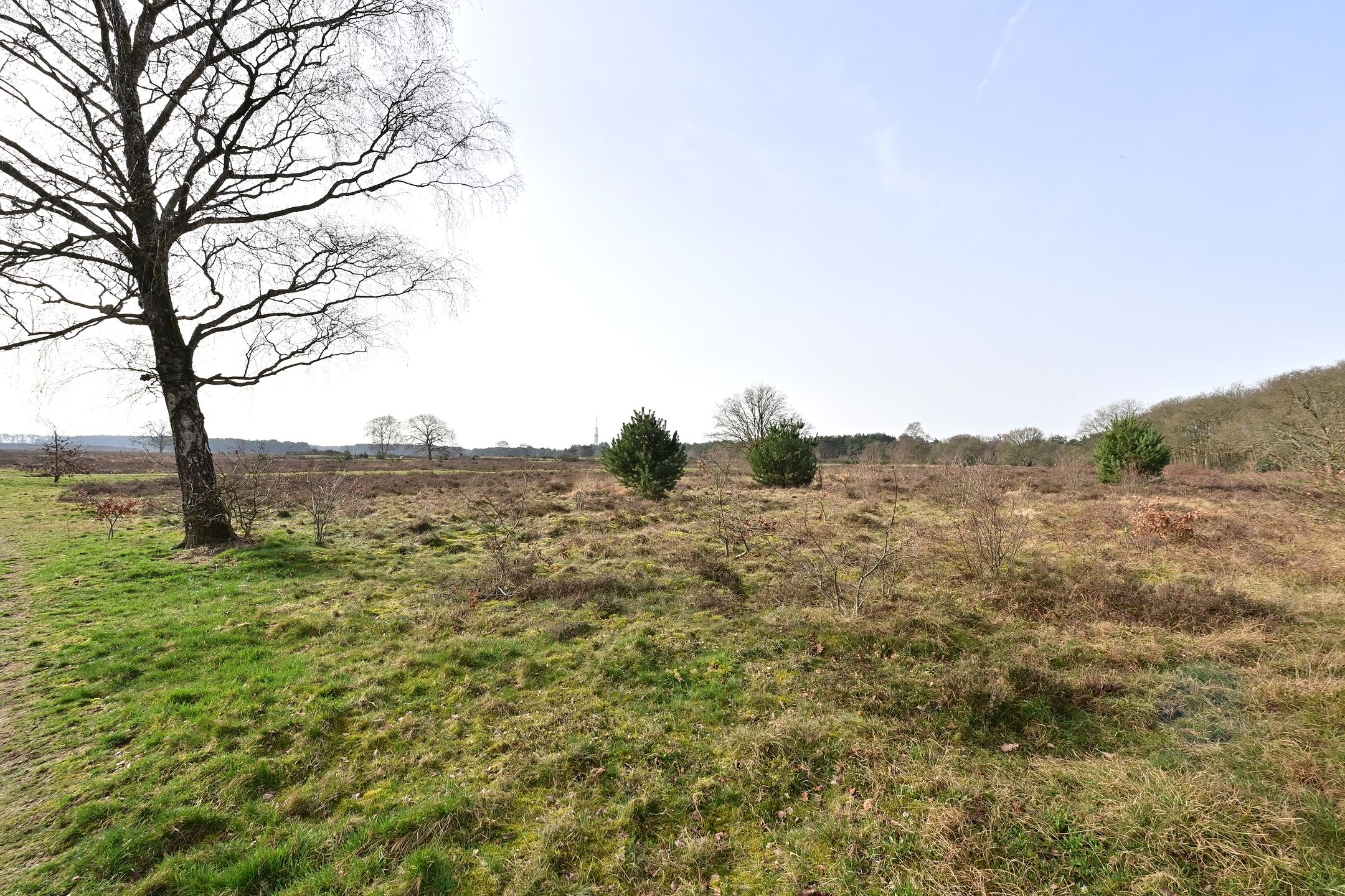 Foto 3 van Anthonie Fokkerstraat 36