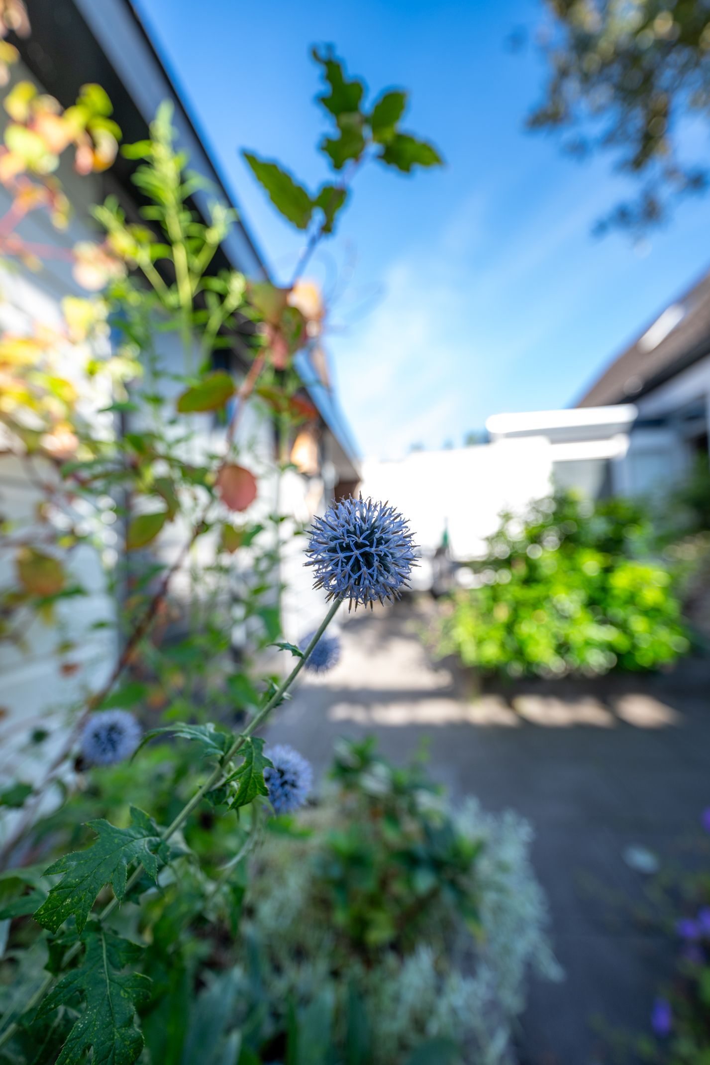 Foto 70 van Margrietstraat 15