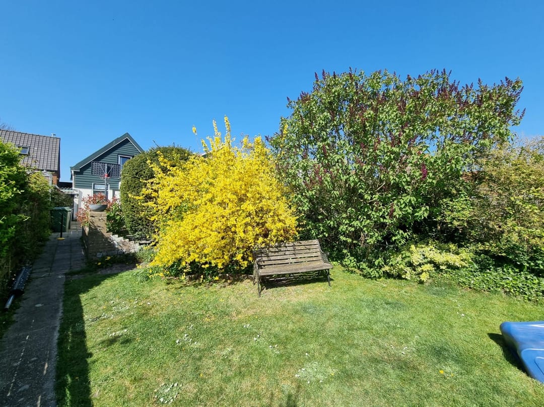 Foto 41 van Voorstraat 48