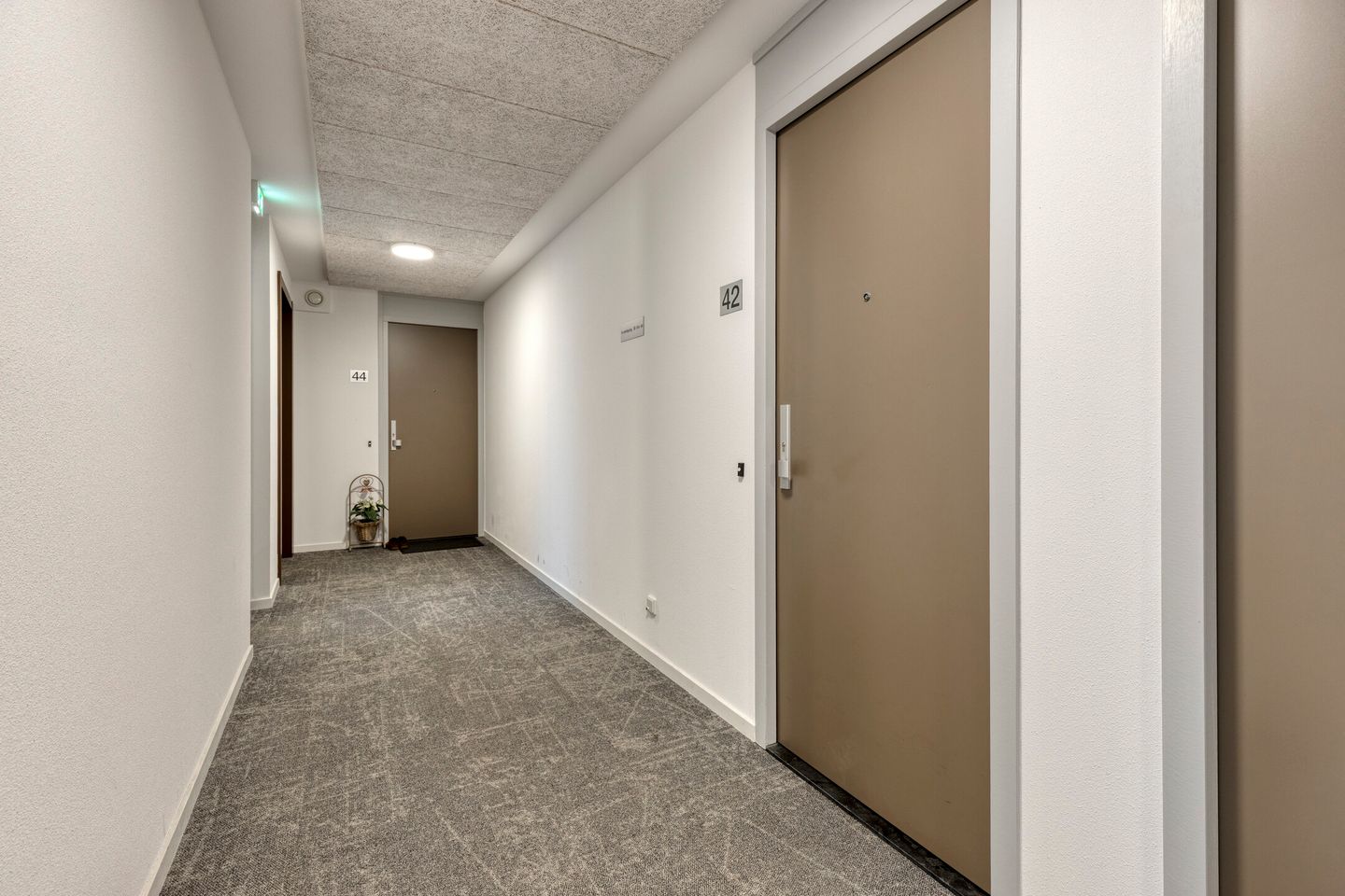 Foto 10 van Waterleliestraat 42